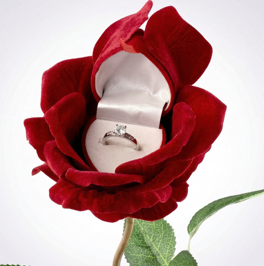 Rosa Eterna con Caja de Anillo Secreta